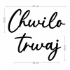 Napis led - Chwilo trwaj, wymiary