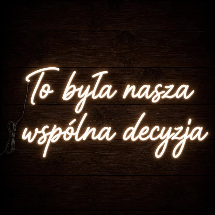 Napis led - To była nasza wspólna decyzja